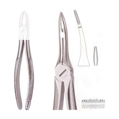 Extracting Forceps